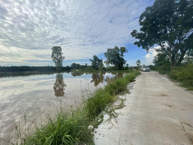 ขายที่นาพนมสารคาม 4 ไร่ หลังตลาดพนม ใกล้ถนน3444 – 850 เมตร ใกล้ถนนเส้น 3481 – 1 กม. จ.ฉะเชิงเทรา