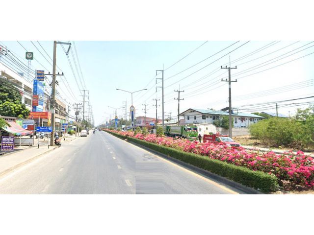 ขายที่ดิน 8 ไร่ ตลาดสามโคก อ.สามโคก จ.ปทุมธานี