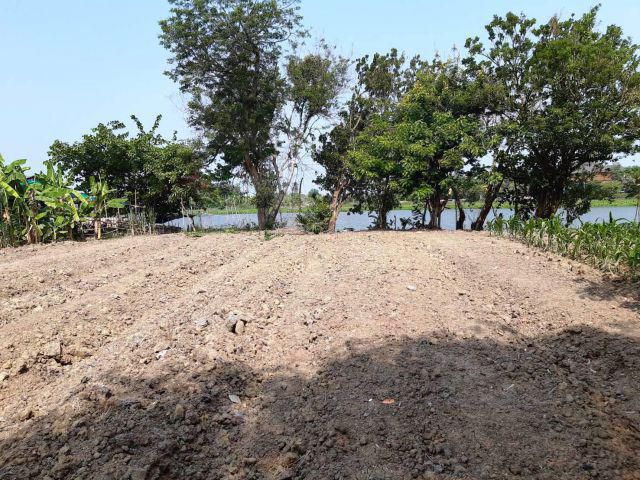 ขายด่วน!!!ที่ดินถมแล้ว แปลงสวย ติดแม่น้ำ ติดถนนคอนกรีต ใกล้ชุมชน ใกล้ตลาดห้วยพลู เนื้อที่ 235 ตรว.เหมาะปลูกบ้านทำธุรกิจ