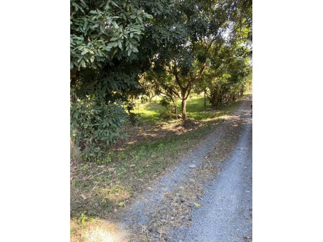 ขายที่ดินพร้อมบ้านแปลงสวย4ไร่3งาน82ตารางวา ติดสนามกอล์ฟแซนด์ครีก ติดถนนสายหลัก ตั้งอยู่ที่ ต.ห้วยทราย อ.สันกำแพง