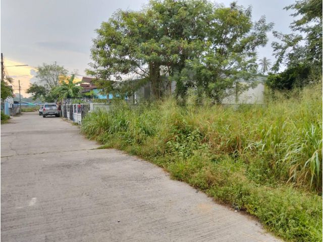 ที่ดิน 113 ตรว.ตะเคียนเตี้ย หลัง Big C ใกล้ถนน 4094 แค่ 100 เมตร