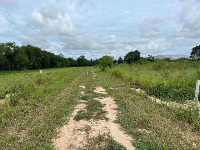 ขายที่ดินสีม่วงลายมะขามคู่ นิคมพัฒนา 2 ไร่(ขยายได้8ไร่) ใกล้ถนน36-500เมตร จ.ระยอง