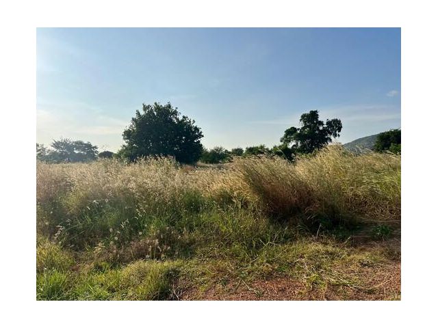 ขายที่ดิน 26 ไร่ 3 งาน 35.5 ตรว. ติดถนนสุวรรณศรี หนองแค สระบุรี (พื้นที่สีชมพู)