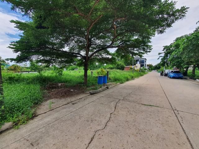 ขายที่ดินพัฒนาการ ขนาด 62 ตารางวา  ถมแล้ว ทำเลดี