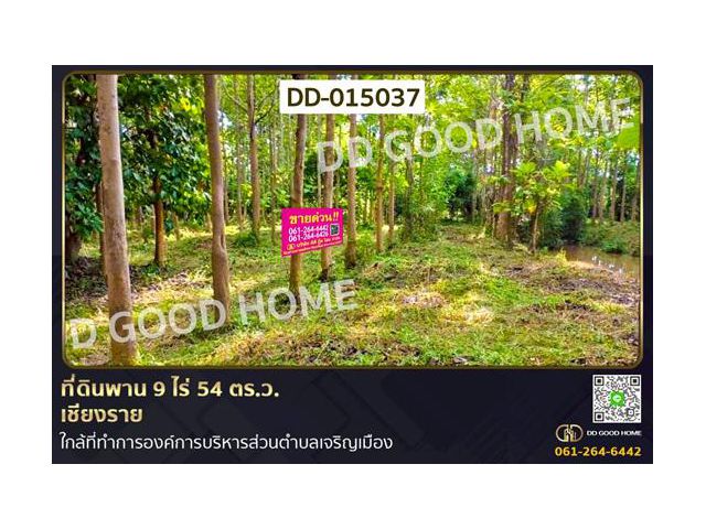 DD-015037 ที่ดินพาน 9 ไร่ 54 ตร.ว. เชียงราย ใกล้ที่ทำการองค์การบริหารส่วนตำบลเจริญเมือง