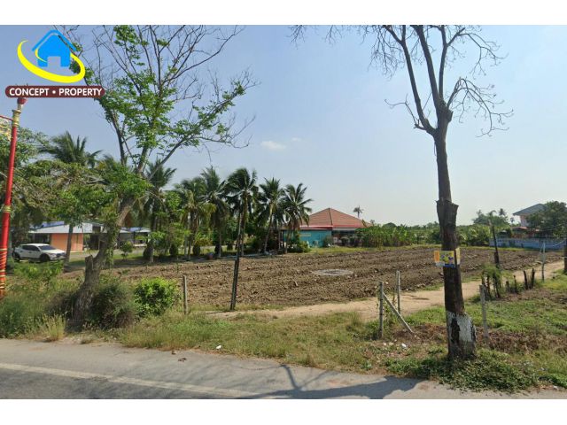 ขายที่ดิน 1ไร่  ติดทางหลวงชนบท ดอนตูม นครปฐม