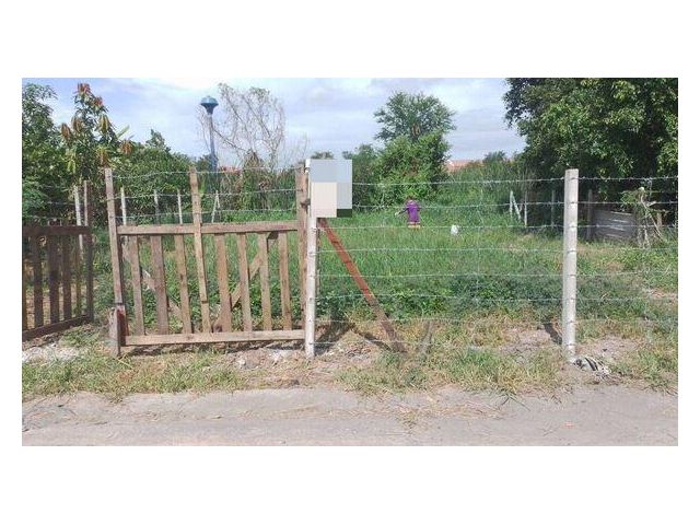 ขายที่ดินเปล่า วังจุฬา – วังน้อย อยุธยา เนื้อที่ 50 ตร.ว.