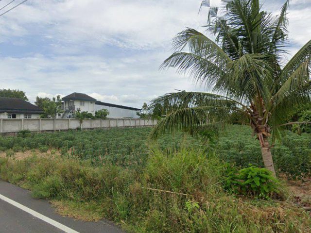 ขายที่ดินหนองปรือ พัทยา 6 ไร่ ซ.พรประภานิมิตร34 ใกล้อ่างเก็บน้ำมาบประชัน-1กม. อ.บางละมุง จ.ชลบุรี