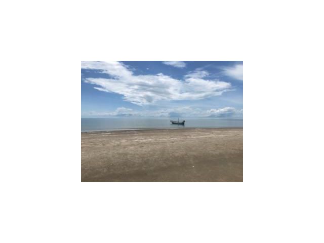 ขายที่ดิน ติดทะเล ราคาถูก