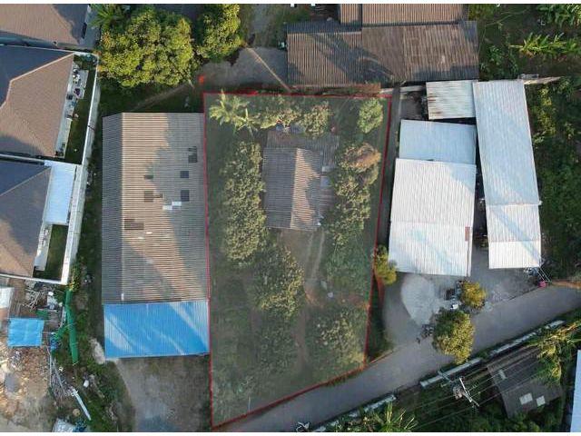 ขายที่ดินแถมบ้าน 1 หลังทำเลดีใกล้วงแหวน3เข้าซอยไม่ลึกห่างสนามบิน1