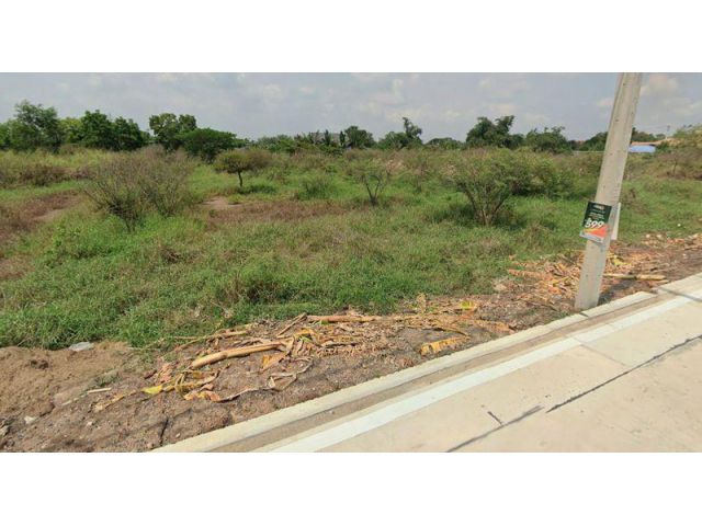 ขายที่ดินเปล่า 2 ไร่ อำเภอคลองหลวง ตำบลคลองสอง จังหวัดปทุมธานี