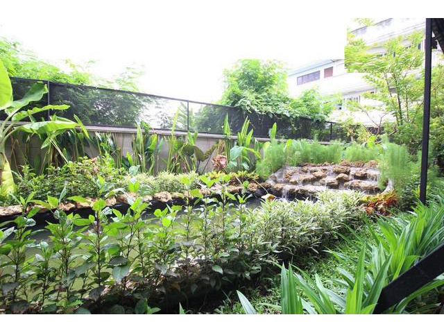 เช่ากิจการศูนย์ดูแลผู้สูงอายุ ติดต่อคุณโบว์ 0837824962