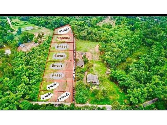 หลุงจอง ขายด่วนที่ดินดงละคร จ.นครนายก แปลงละ 1 ไร่ ถมแล้ว