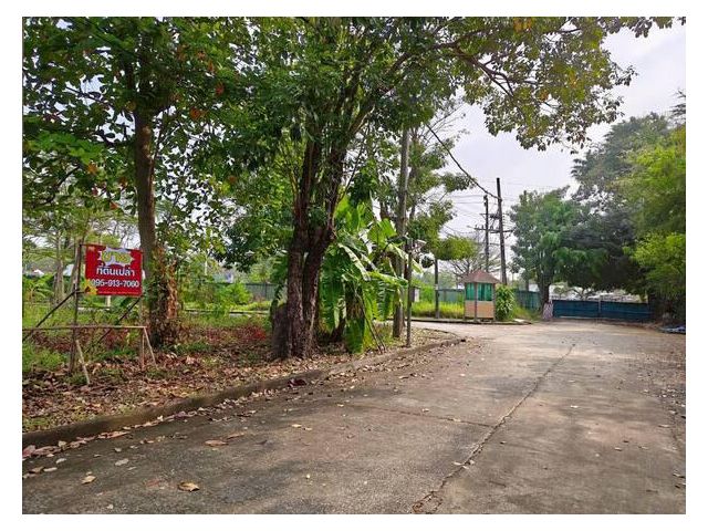 ขาย ที่ดินเปล่า รวมสองโฉนด ม.นวธานี เสรีไทย 59