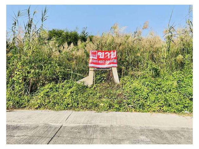 ขายที่ดินเปล่า เพชรเกษม77 ซอยสวัสดิการ 2 แยก 17 เขตหนองแขม กรุงเ