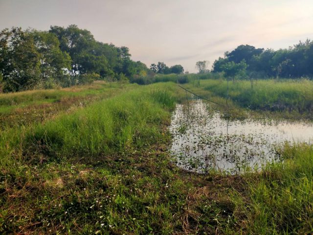 ให้เช่าที่ทำสวน 12ไร่ ไร่ละ3000-/ปี อ.ดอนตูม จ.นครปฐม.ค่านายหน้าไราละ1500-เป็นร่่องสวนอยู่แล้ว เช่ายาวได้