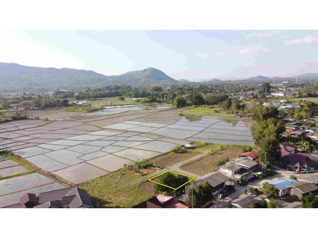 ขายที่ดิน 55 ตร.ว. วิวดอยสวย น้ำไฟดึงได้ไม่ไกล อ.แม่ออน