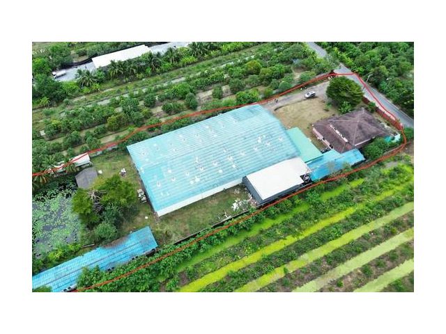 RK894 ให้เช่าโรงงาน บนที่ดิน 4 ไร่ พื้นที่โรงงาน 1250 ตารางเมตรบ้านเดี่ยว 6 ห้องนอน 6 ห้องน้ำ อำเภอสามพราน จังหวัดนครปฐม