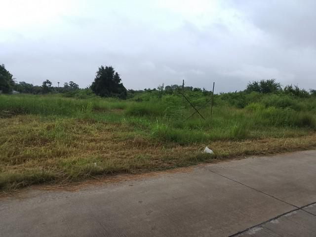 ขายที่ดินพานทอง 8 ไร่ ใกล้ถนนหนองกาน้ำ(3023)กำลังขยาย4เลน-950เมตร หนองหงษ์ จ.ชลบุรี