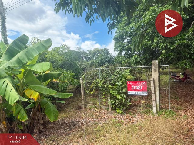 ขายที่ดินสวนลำไย เนื้อที่ 12 ไร่ 3 งาน 2 ตารางวา พร้าว เชียงใหม่