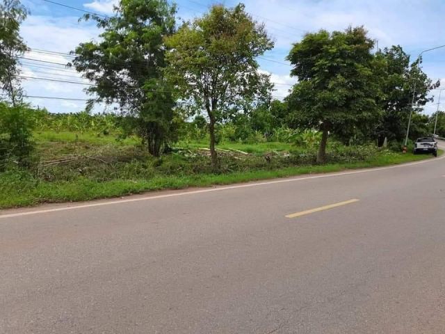 ขายที่ดินบางกระเจ็ดถมแล้ว 176 ตรว. ติดถนนฉช.5033 ใกล้วัดลาดบัวขาว-850เมตร อ.บางคล้า ฉะเชิงเทรา