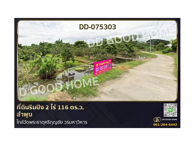 DD-075303 ที่ดินริมปิง 2 ไร่ 116 ตร.ว. ลำพูน ใกล้วัดพระธาตุหริภุญชัย วรมหาวิหาร