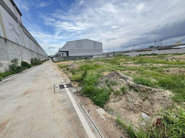 ขายถูก ที่ดินถมแล้ว ผังสีม่วง ซอยแสงฟ้า ถ.เทพาร