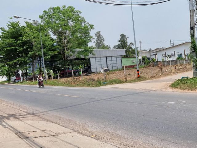 ที่ดินให้เช่า หนองช่องแมว หนองโพรง