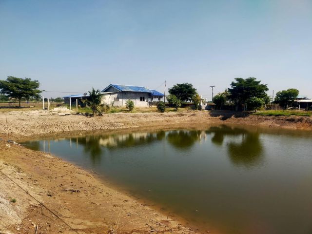 ให้เช่า/เซ้งบ่อเลี้ยงกุ้ง/ปลา+บ้านพัก 4ไร่ เซ้ง50000-ต.บางเลน อ.สองพี่น้อง จ.สุพรรฯ.ค่านายหน่าไร่1000-ค่าเช่าไร่ละ5000