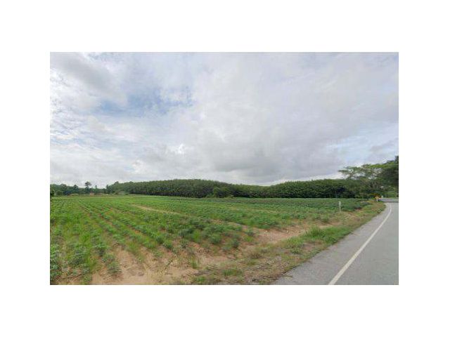 ขายที่ดิน 22 ไร่ ซอยสายหนองกรับ-โรงน้ำตาล ต.หนองบัว อ.บ้านค่าย จ.ระยอง