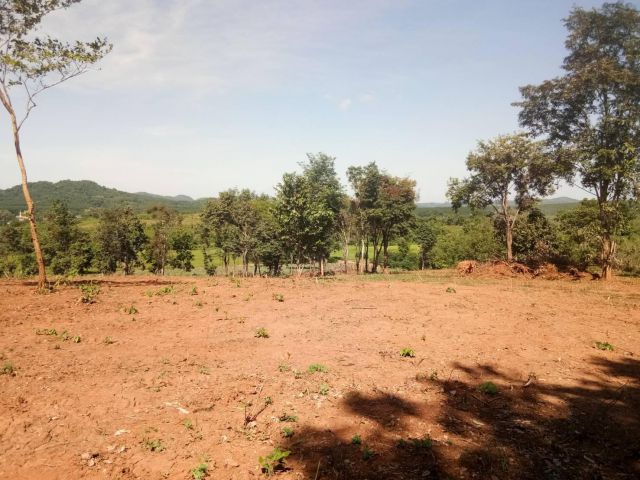 ขายที่ดิน 21 ไร่ ต.แม่ข้าวต้ม อ.เมือง จ.เชียงราย