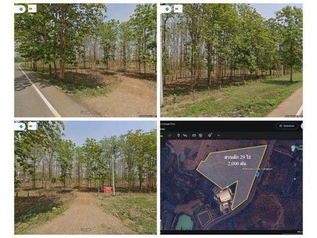 ด่วน! โอกาสทองสำหรับนักลงทุน ที่ดิน 29 ไร่ พร้อมสวนสักอายุ 12 ปี ใกล้เมืองลำพูน โทร 081-530-7997