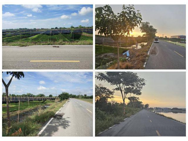 ขายที่ดิน 4 ไร่ 135 ตารางวา อ.ไทรน้อย จ.นนทบุรี หน้ากว้างติดถนนตัดใหม่ บรรยากาศดี โทร 065-365-4426