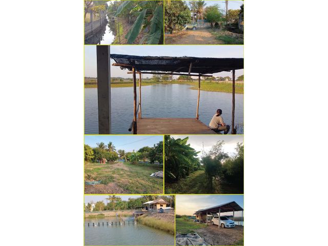 ขายที่ดินบ่อปลา 7 ไร่ โทร 0892507682