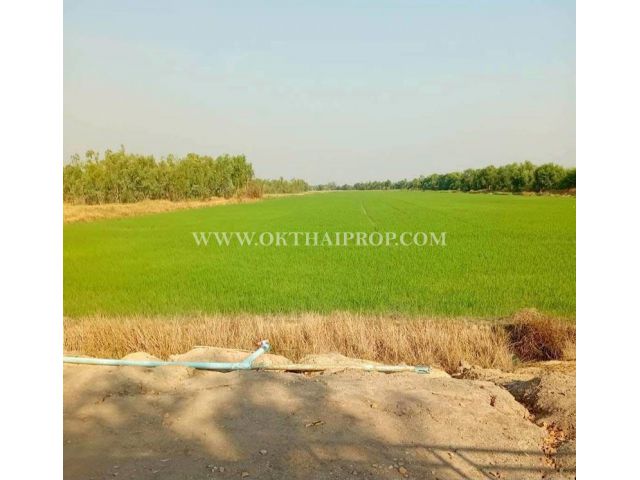 ที่ดิน คลอง14 ถนนรังสิต-นครนายก ใกล้ มศว. อ.องครักษ์ จ.นครนายก