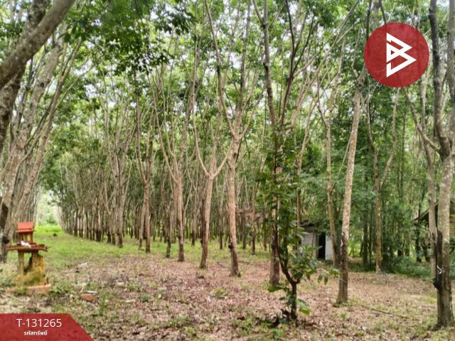 ขายที่ดิน เนื้อที่ 31 ไร่ 1 งาน 15 ตร.วา โขงเจียม อุบลราชธานี