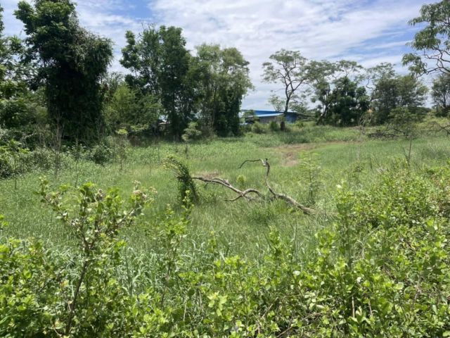 L1518 ขายที่ดินผังสีม่วงเข้ม 27 ไร่ พานทอง ชลบุรี