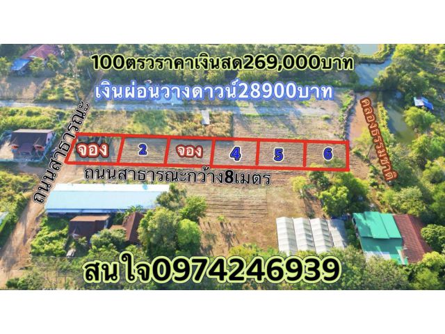 ขายที่ดิน100ตรวราคา269,000บาทแถวบ้านทุ่งขาม ต ลาดตะเคียน อ กบินทร์บุรี จ ปราจีนบุรี
