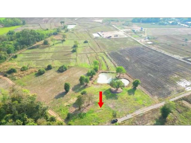 ขายที่ดิน3ไร่2งาน8วาราคายกแปลง969,000บาทบ้านโนนกลาง ต นาแขม อ กบินทร์บุรี จ ปราจีนบุรี