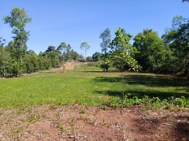 เสนอขายที่ดินแปลงเปล่า เนื้อที่ 2 ไร่ 2 งาน 69 ตารางวา ตำบลเขาวัว อำเภอท่าใหม่ จังหวัดจันทบุรี