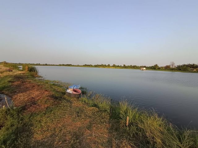 ขายที่ดิน 58 ไร่ พระราม 2 กม 14 ซอย แสมดำ