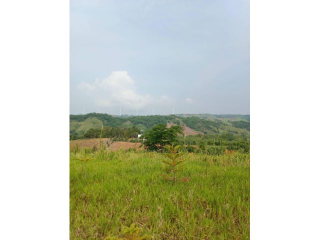 ขายที่ดินโฉนด เนื้อที่ 4-2-08 ไร่ เห็นวิวเขา และวิวทุ่งกังหันลม