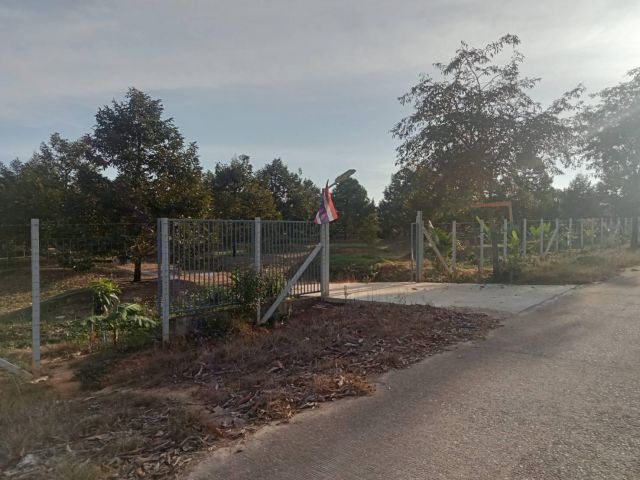 ขายที่ดินแกลงพร้อมสวนทุเรียน 13 ไร่ ติดถนนคอนกรีต ใกล้ถนนสุวรรณศร33-600เมตร จ.ระยอง