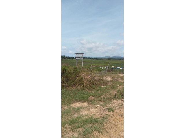 ขายด่วนที่นาปรับเรียบสวยๆ ติดคลองส่งน้ำ โฉนด 3 แปลง ติดถนนลาดยาง 48 ไร่เศษๆ ต.กุยเหนือ อ.กุยบุรี จ.ประจวบคีรีขันธ์ ขายไร่ละ 200,000