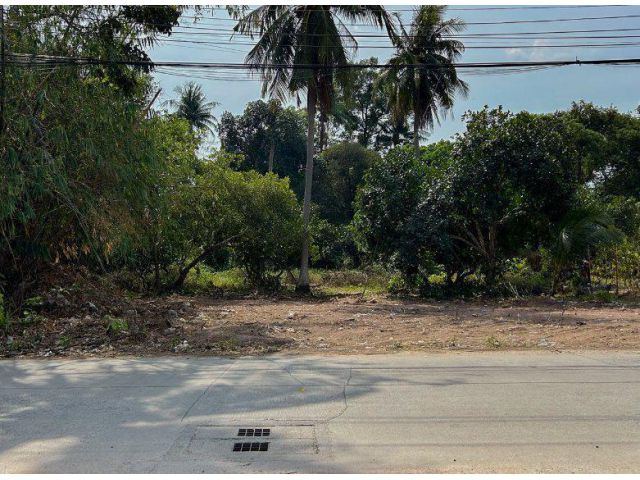 ขายที่ดินสุรศักดิ์ 200 ตรว. ถมแล้วซ.เนินสวัสดิ์ติดถนนลาดยาง ใกล้ท่าเรือแหลมฉบัง-8กม. อ.ศรีราชา ชลบุรี