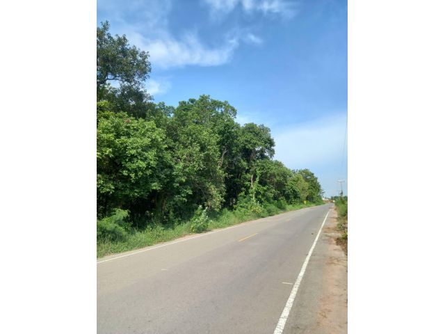 ที่ดินสวยติดถนนลาดยางอ.ยางตลาด บ้านค้อ ไร่ละ600,000 ทำเลดีใกล้คลองทำเกษตรได้เลย