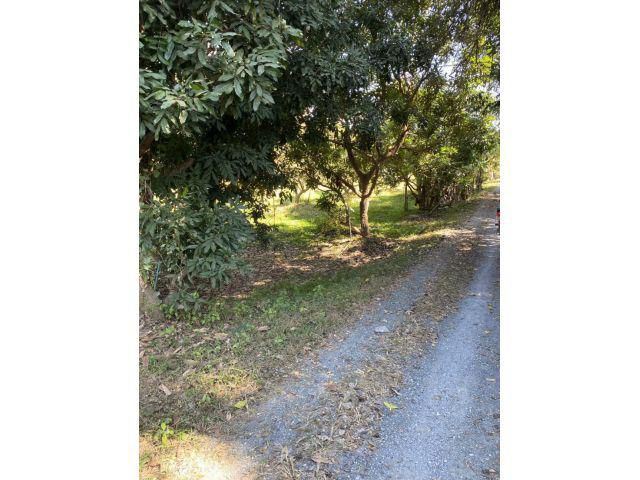 ขายที่ดินพร้อมบ้านแปลงสวย4ไร่3งาน82ตารางวา ติดสนามกอล์ฟแซนด์ครีก ติดถนนสายหลัก ตั้งอยู่ที่ ต.ห้วยทราย อ.สันกำแพง