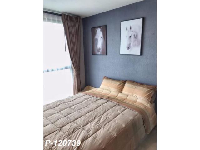 P-120739 ด่วน! คอนโดให้เช่า 1 ห้องนอน วิวเมืองสวยงาม พร้อมเข้าอยู่! ดิ เอ็กซ์เซล กรูฟ