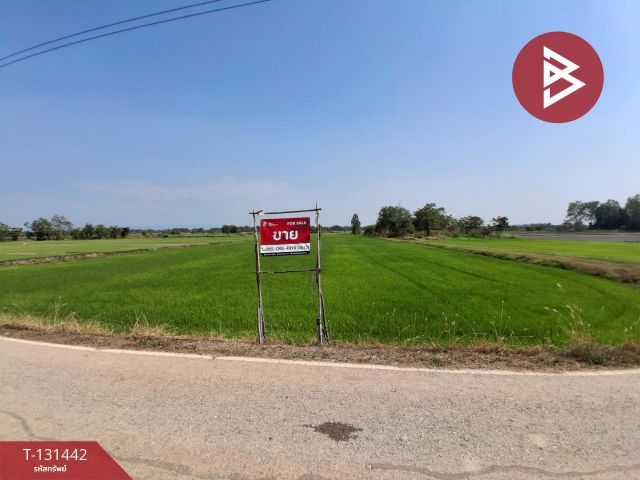 ขายที่ดิน เนื้อที่ 14 ไร่ 3 งาน 72 ตร.วา วังทอง พิษณุโลก