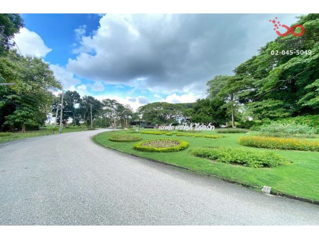 ขายที่ดิน มวกเหล็กพาราไดส์ รีสอร์ท ปากช่อง 284 ตรว.แปลงสวย